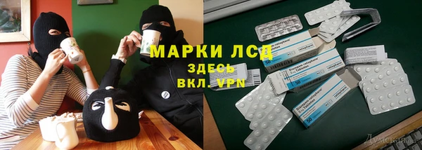 хмурый Белокуриха