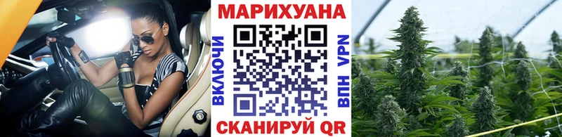 Купить где Жуковка Бошки марихуана SATIVA & INDICA